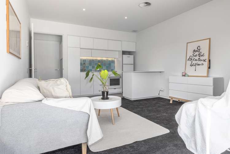 286A Arapaepae South Road Levin_23