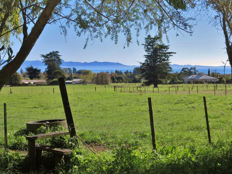 99 Clifton Road Kahurangi National Park_6