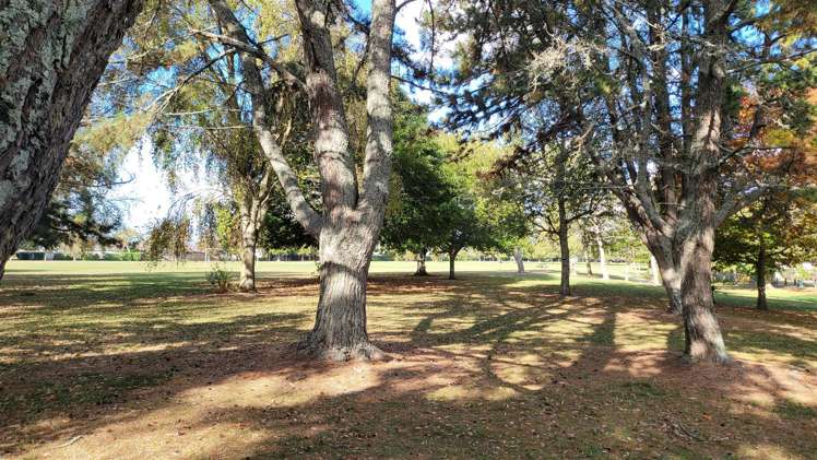 124a Masters Avenue Silverdale_13