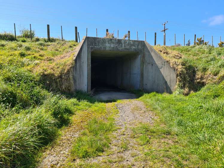 629 South Road Omata_10