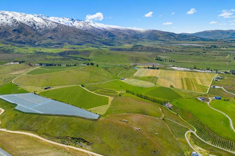 1005 Luggate-Cromwell Road Mount Pisa_35