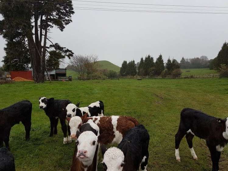 671 Frankley Road Hurworth_12