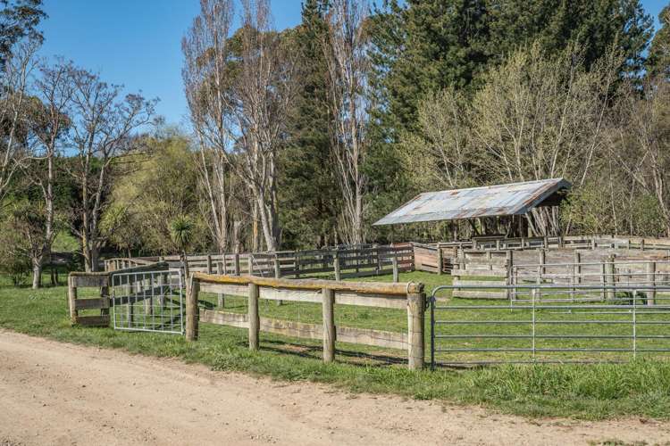 266 Rangiora Leithfield Road Sefton_21