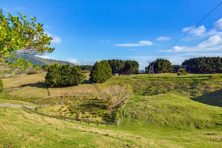141 Te Hapua Road Te Horo_25