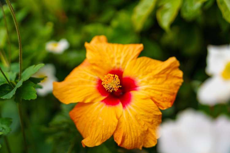 173b Tara Road Mangawhai_16