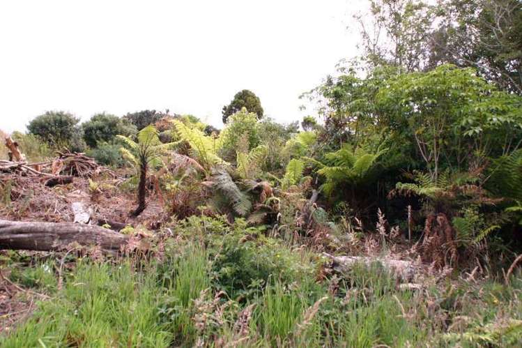 38 Wohlers Road Stewart Island/Rakiura_2