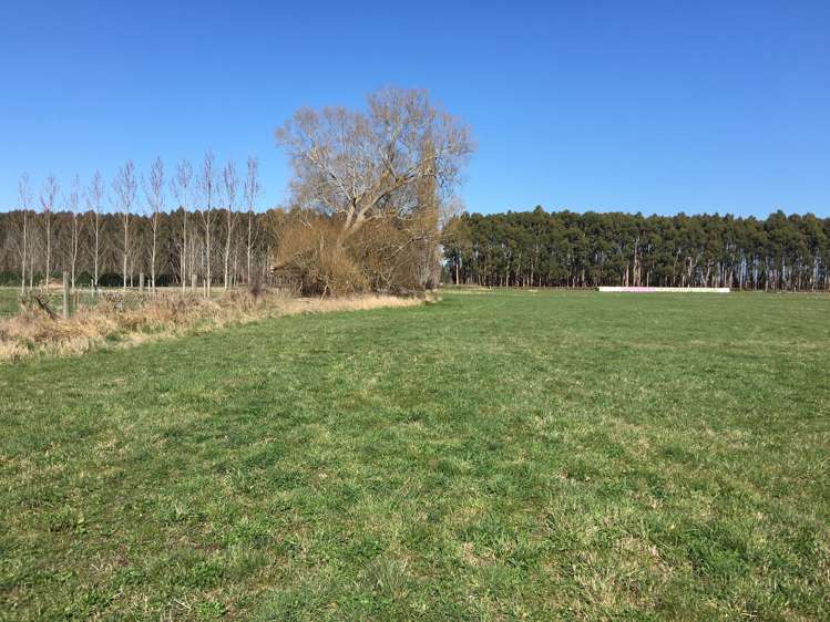 182 Jacksons Road Ohoka_3