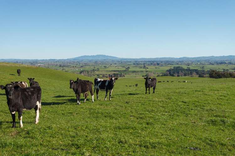 134 Old Te Aroha Road Te Poi_42