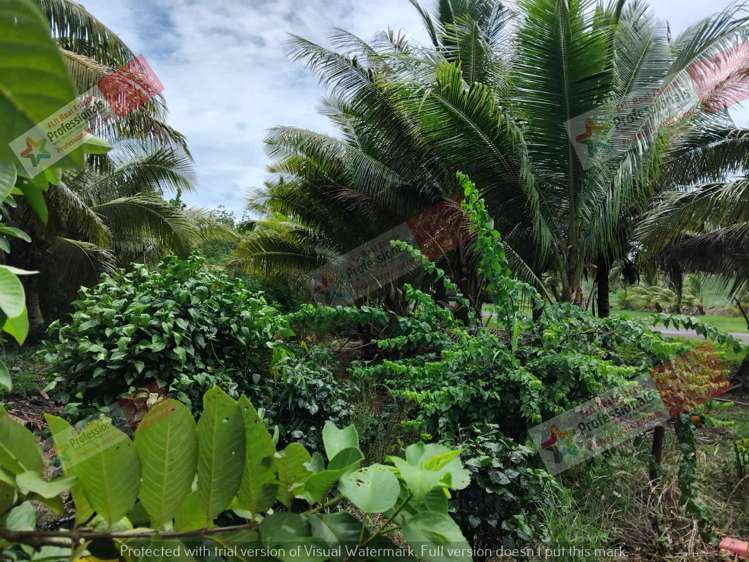 Address withheld Labasa_32