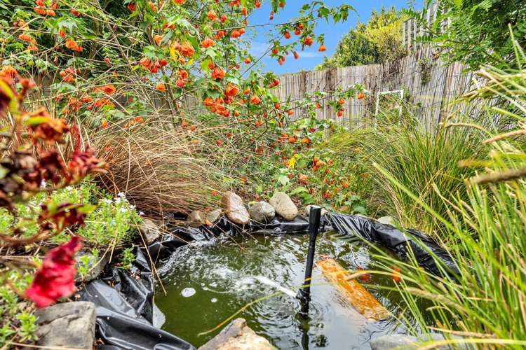 12 Hewlings Street Geraldine_18