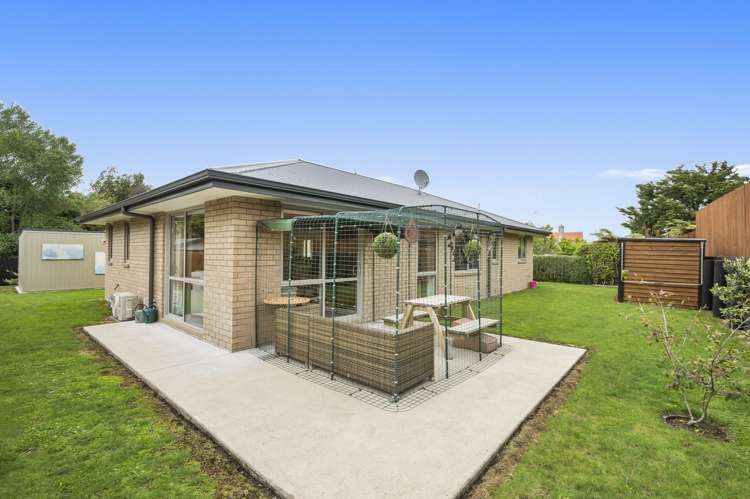 98b Tirau Street Putaruru_17