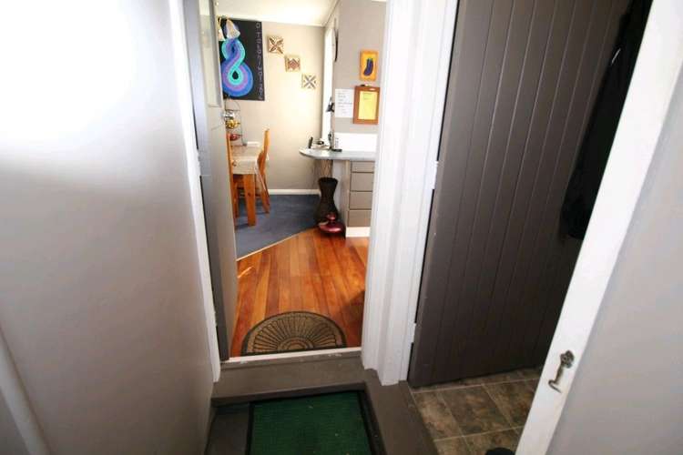 20 Ward Street Bulls_12