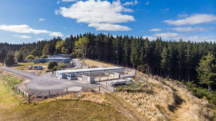 251 Fletcher Road Milton_25