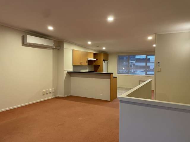 17/3 Kelvin Grove Te Aro_1