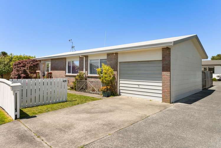 19a Opal Drive Papamoa_1