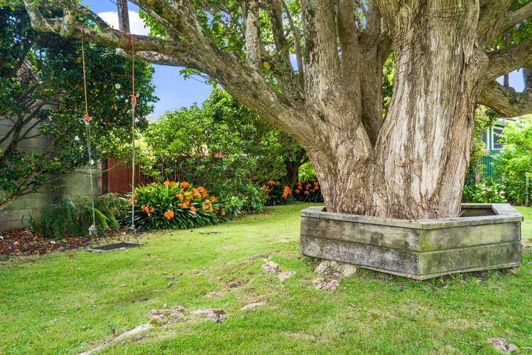 3 Kotuku Street Maunu_23