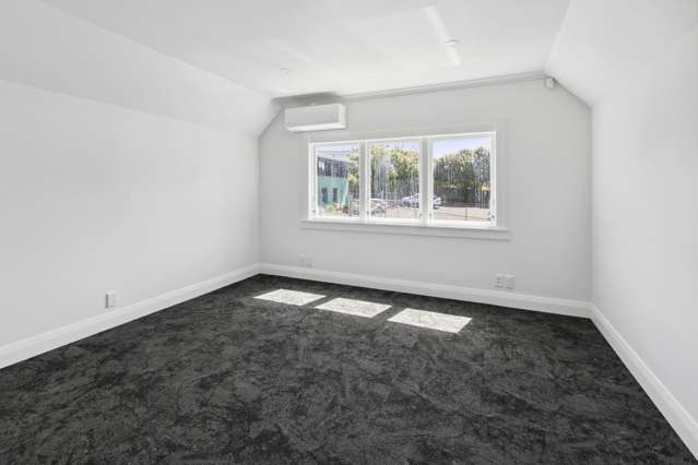 174 Collingwood Street Hamilton Central_4