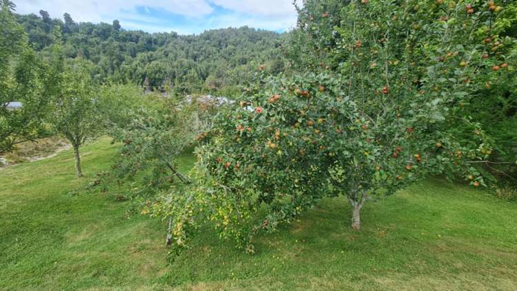 37 Oxford Road Lake Rotoma_25