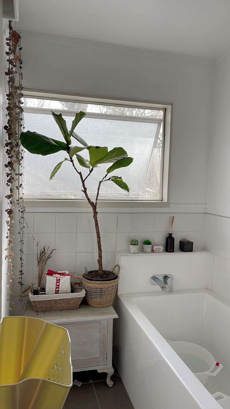 9 Pinehurst Place Wattle Downs_18