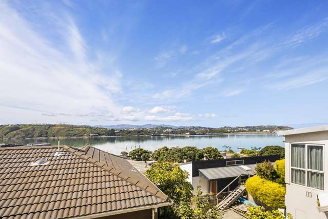 Views Over Evans Bay