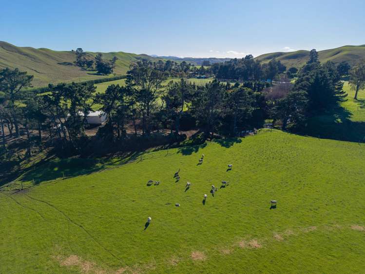 453 Tetley Brook Road Seddon_47