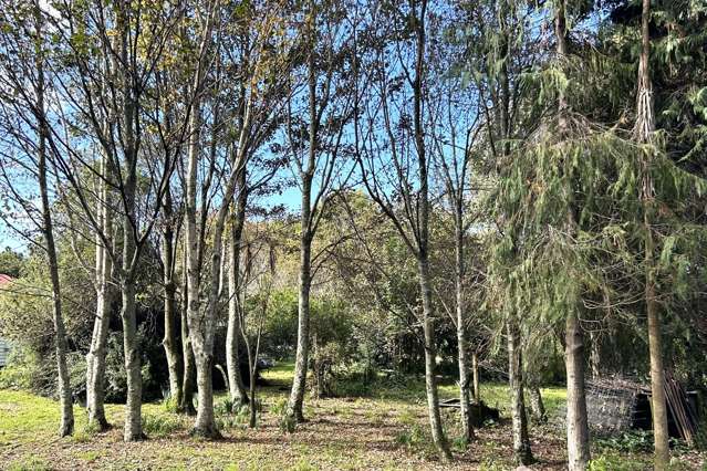 580 Mackay Pass Road Bainham_2