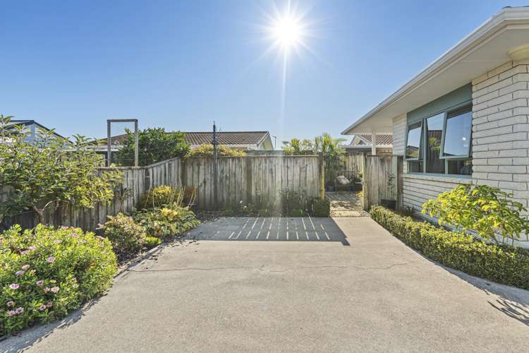 153A Carrington Street Vogeltown_24
