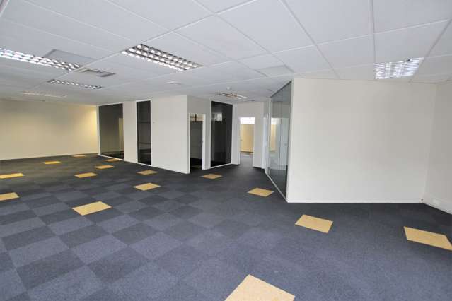 22 Dundonald Street Eden Terrace_4