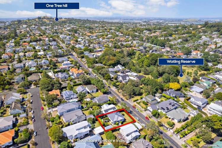 22 Watling Street Mount Eden_20