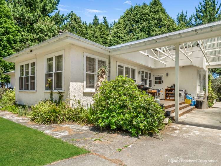565 Birch Road East Dannevirke_8