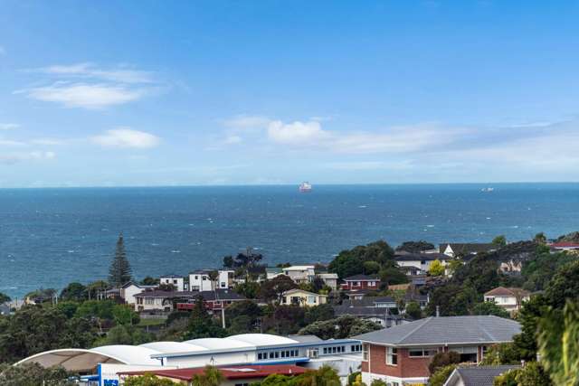 3/3 Galaxy Drive Mairangi Bay_3