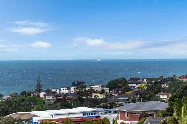3/3 Galaxy Drive Mairangi Bay_2