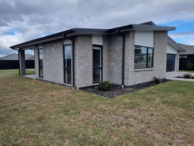 10 Manning Street Morrinsville_4
