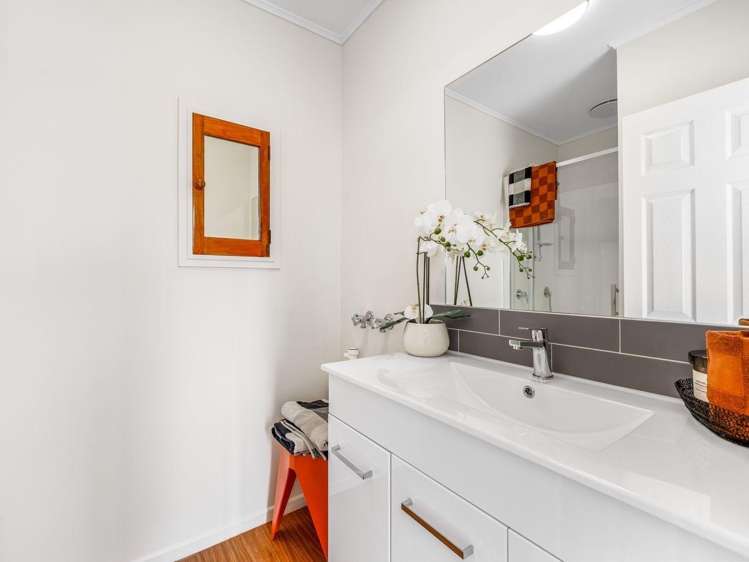 207 Sturges Road 11401_9