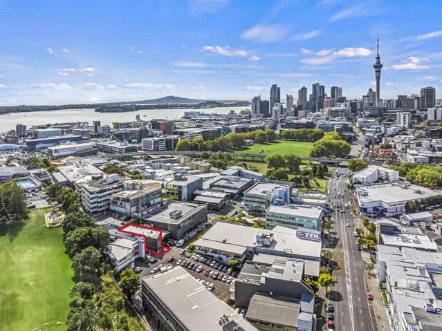 29 Hargreaves Street Freemans Bay_1