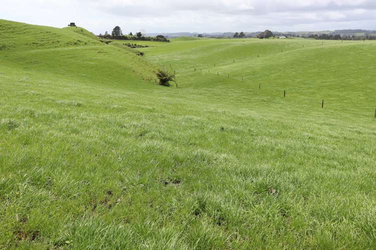 627 Inland North Road Onaero_3