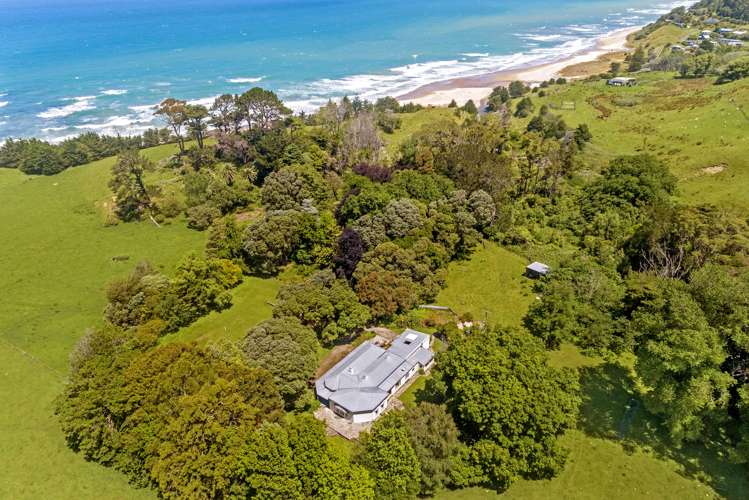 Waihau Station - 618 Waihau Road Tolaga Bay_8