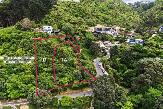 1A and 1B Rangiora Avenue Kaiwharawhara_1