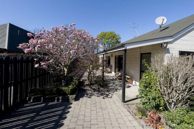 33 Oak Grove Ashburton_20