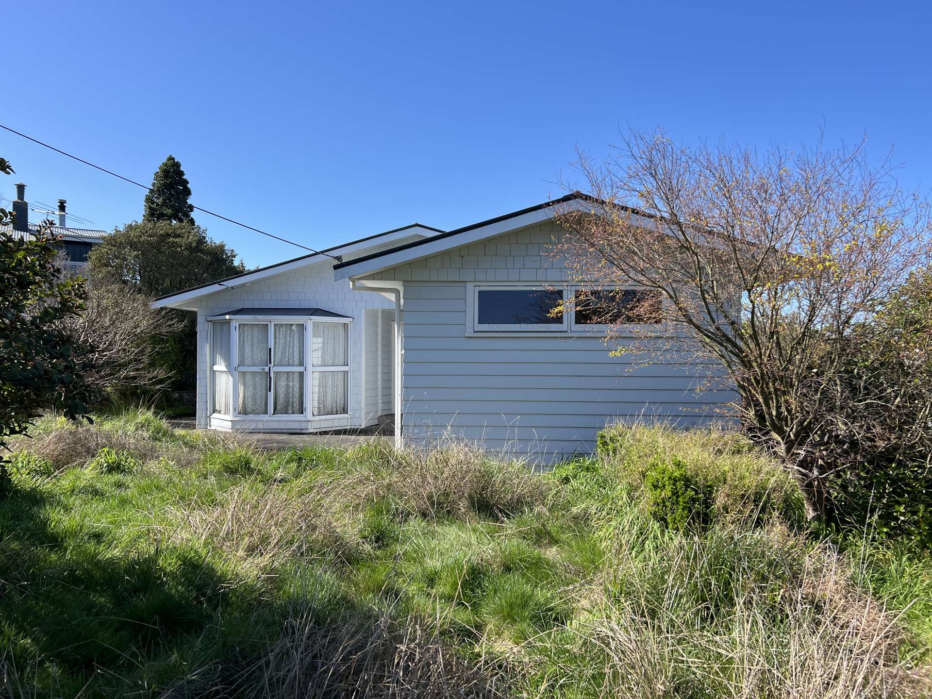 10 Puriri Crescent Lansdowne_0