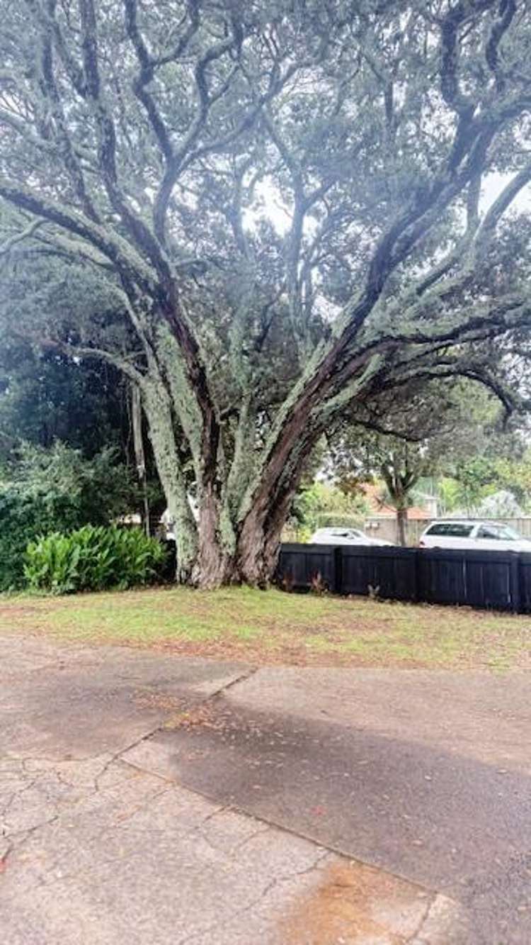  1/69 Waitangi Road Onehunga_1