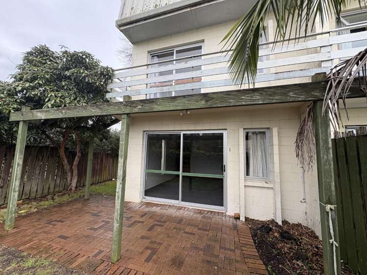 Flat 1/9A Union Street Claudelands_1
