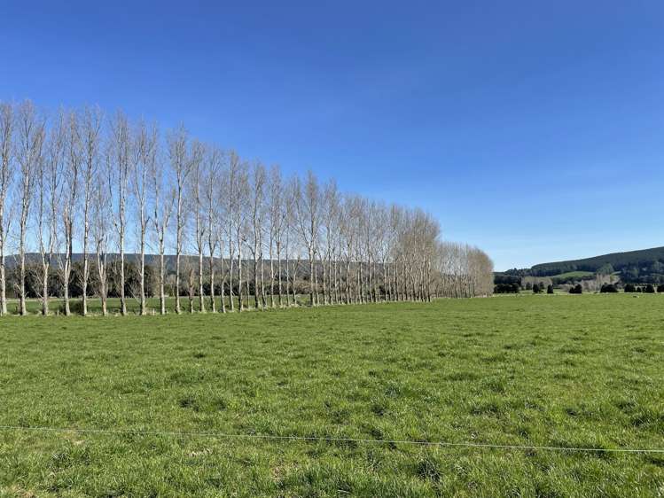 232 Lower Scotts Gap Road Otautau_2