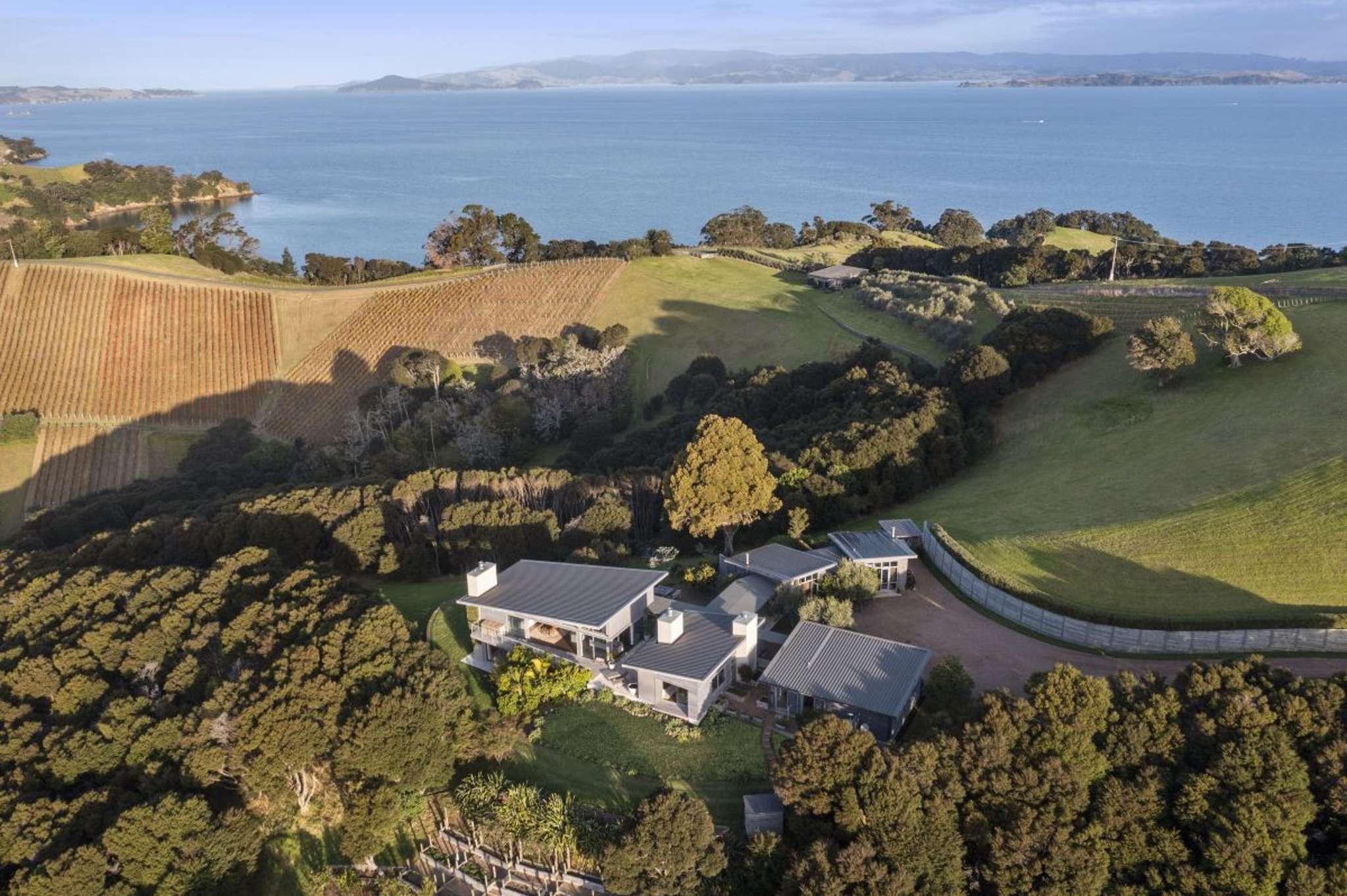 Waiheke estate with award-winning olive oil venture for sale