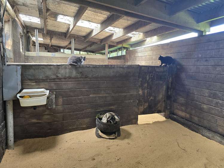 103 East Road Stratford_21