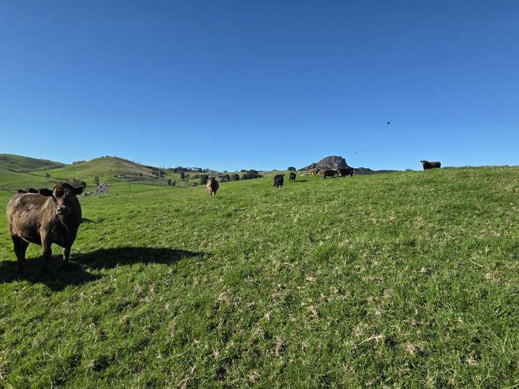 Lot 7 Mititai Road Dargaville_10