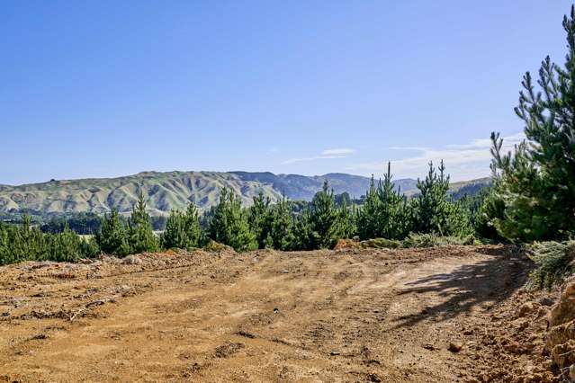 Fernhill Drive Judgeford_3