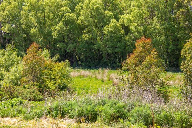 20 Hickson Street Featherston_6