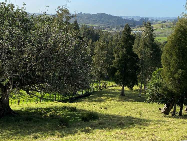 566 Blackbridge Road Waitoki_20