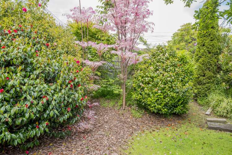 217 Matai Road Raumati Beach_7